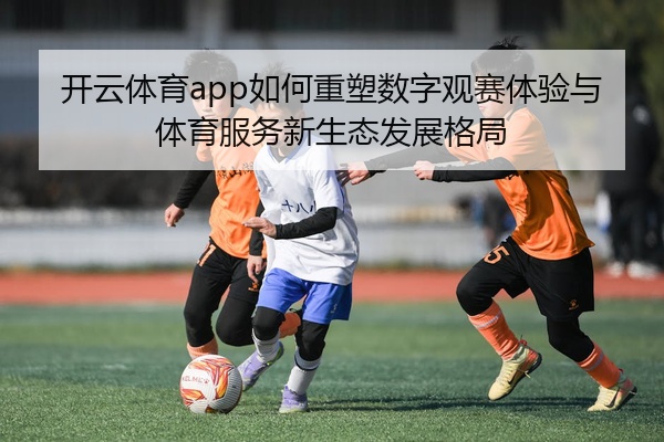开云体育app如何重塑数字观赛体验与体育服务新生态发展格局